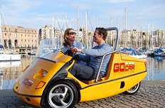 GoCar Picture Nr. 2